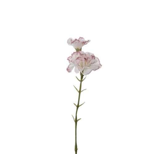 Nejlika 31 cm Rosa