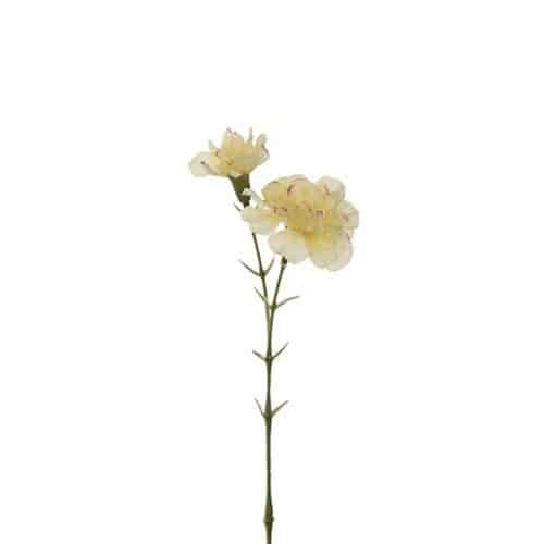 Nejlika 31 cm Gul