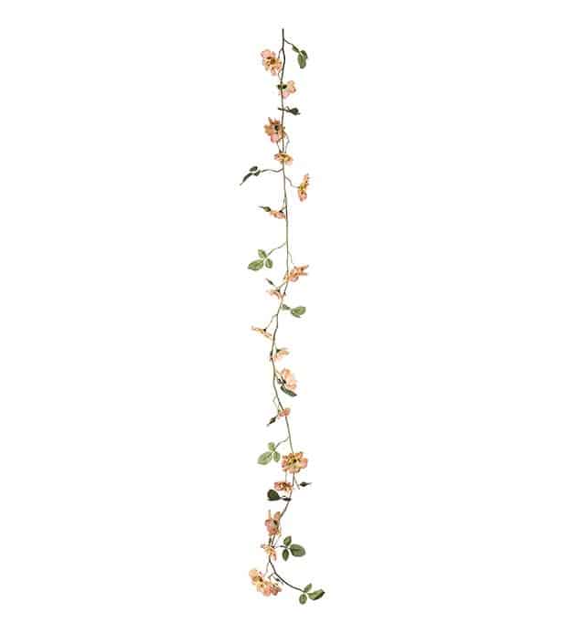 Japansk klätterros girlang aprikos 125cm