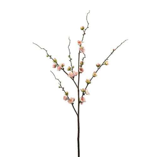 Plommonblom 90 cm