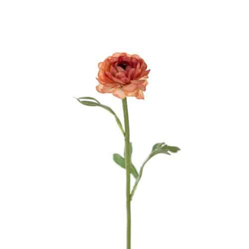 Ranuncel 35cm