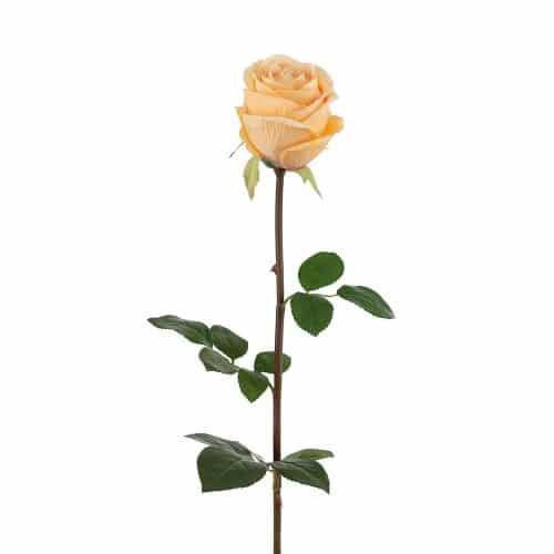 Ros Gul 75cm