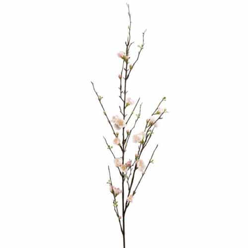 Äppelblom 120 cm