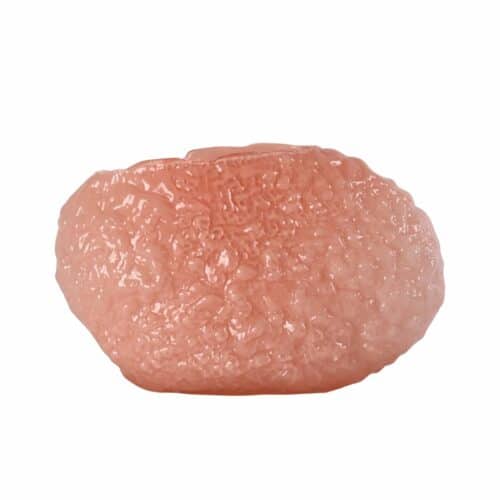 ByON Vas Corallo L Rosa