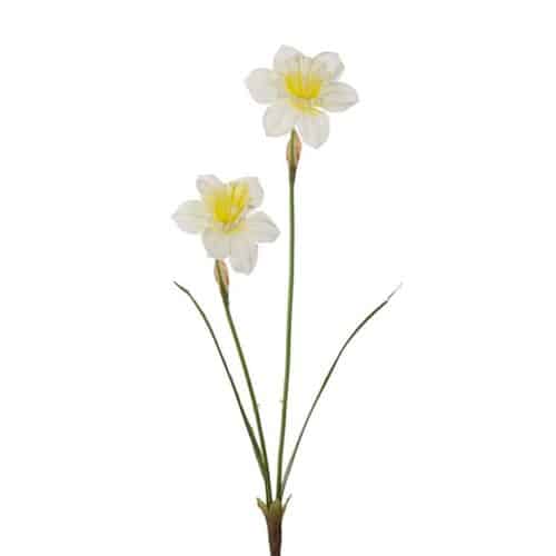 Narciss 58 cm Vit