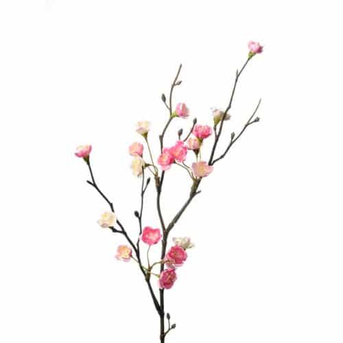 Blomkvist 50 cm Rosa