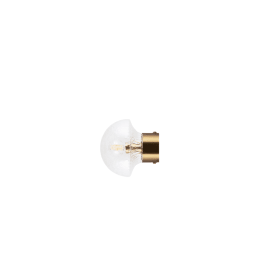 Globen Lighting Vägglampa/Plafond Fungo 16 IP44 – Klar/borstad mässing