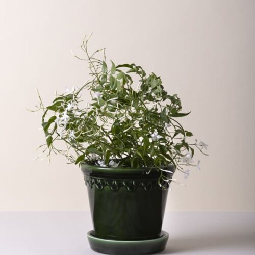 Bergs Potter Copenhagen Kruka – Grön 18 cm