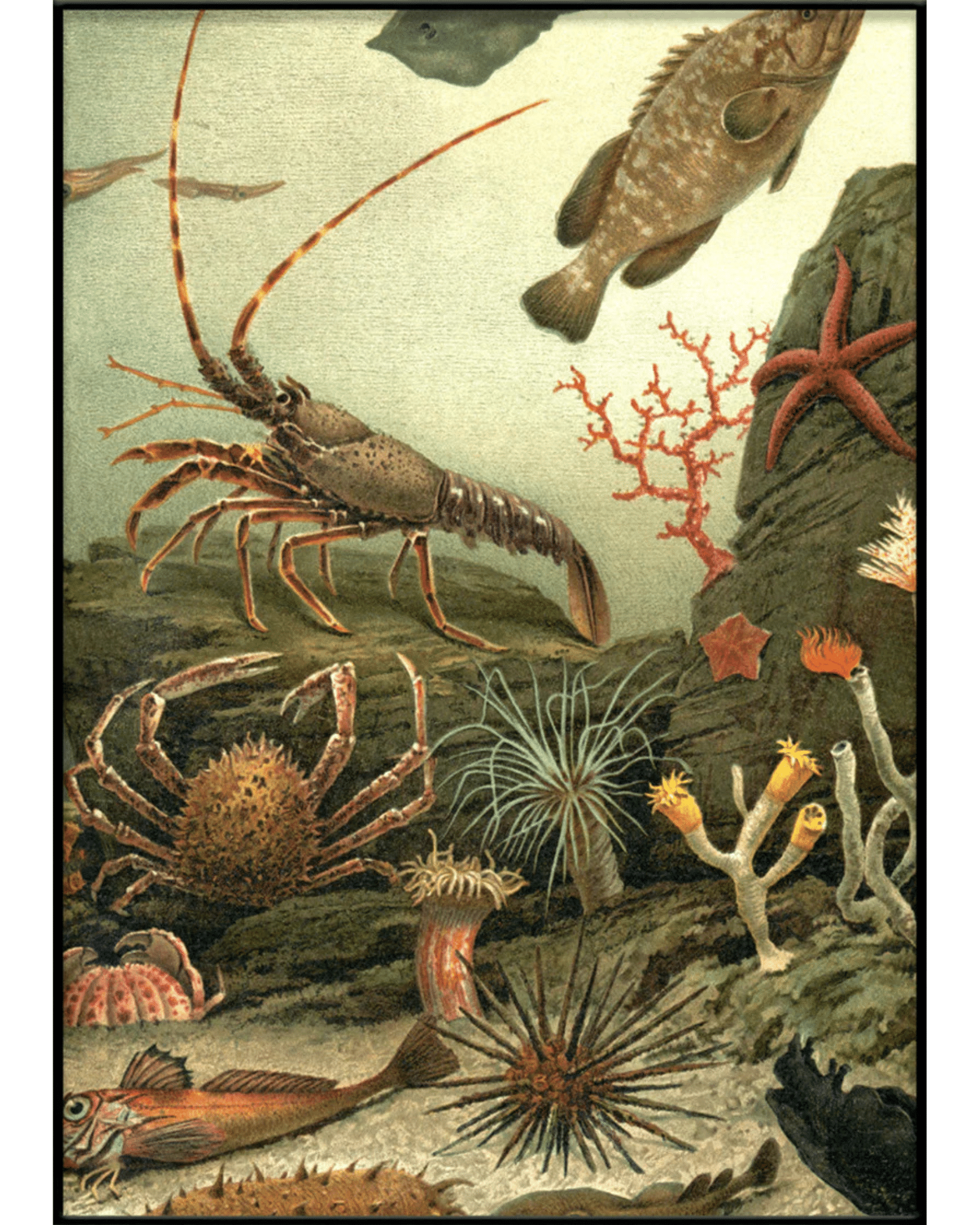 The Dybdahl Company Tavla Aquarim right side - Bild 2