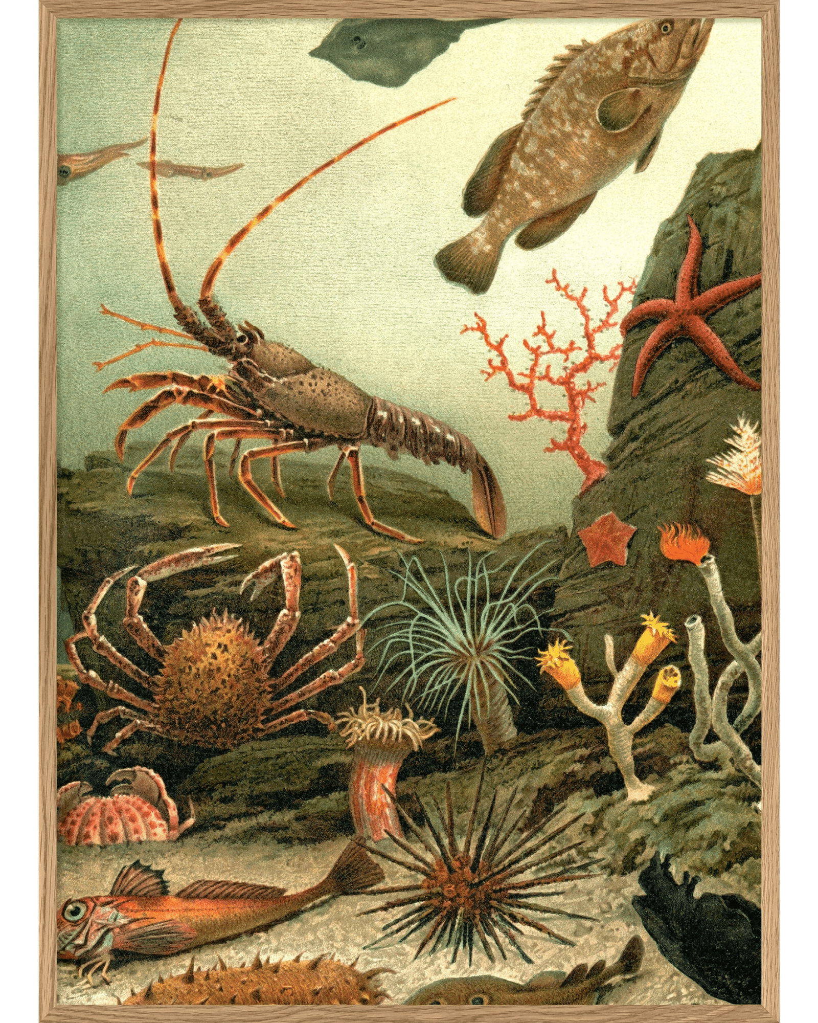 The Dybdahl Company Tavla Aquarim right side - Bild 3