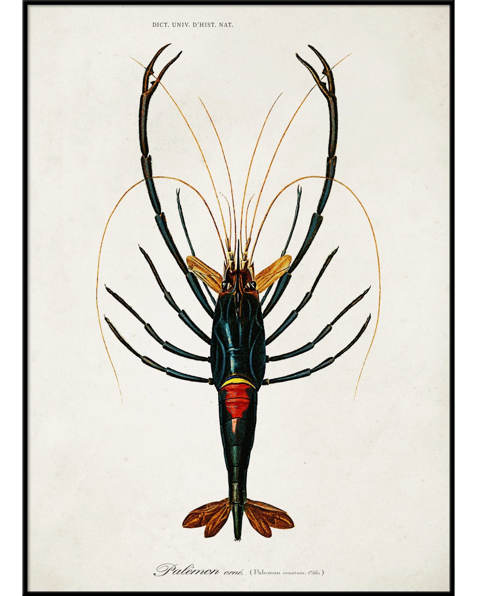 The Dybdahl Company Tavla Crayfish - Bild 2