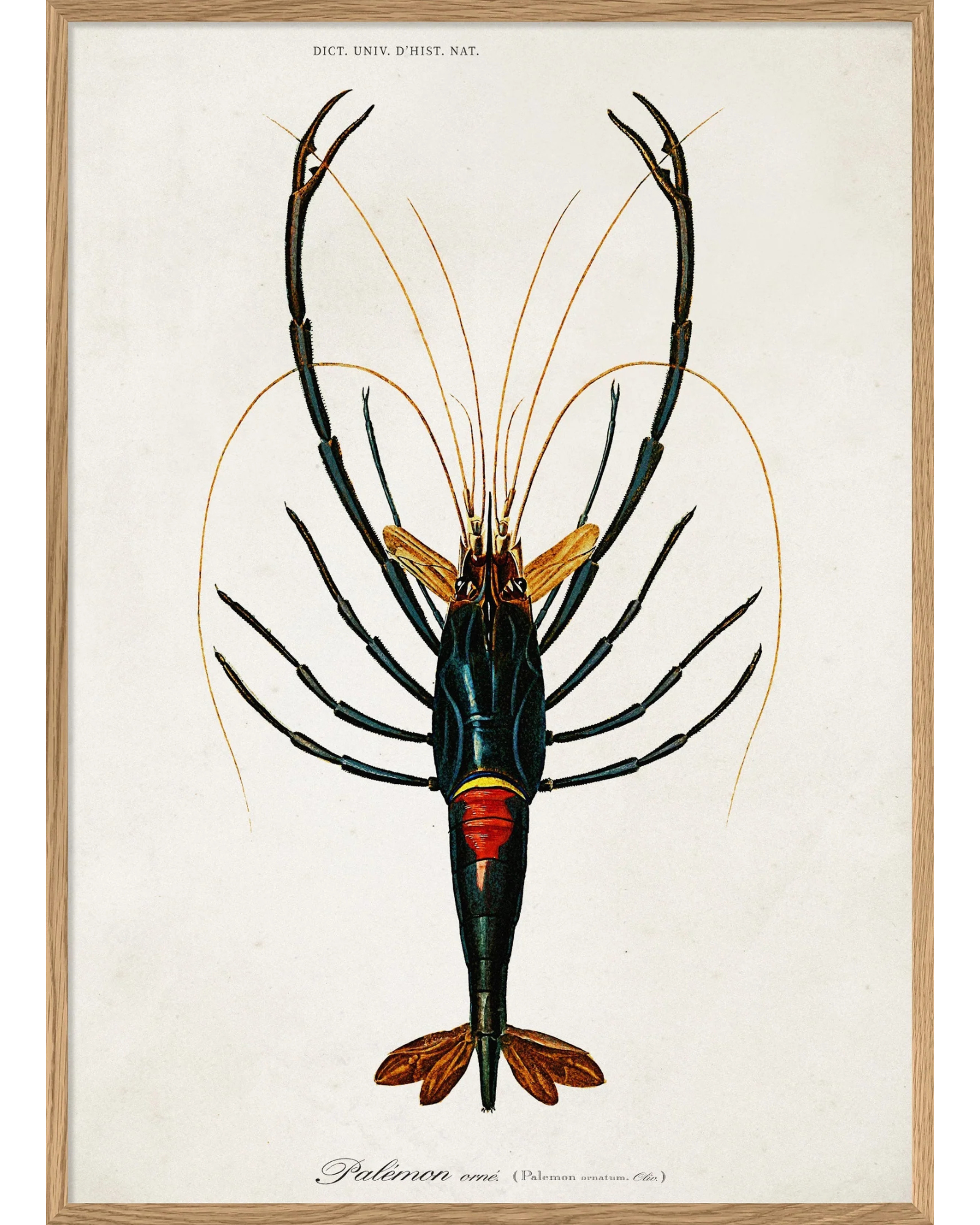 The Dybdahl Company Tavla Crayfish - Bild 3