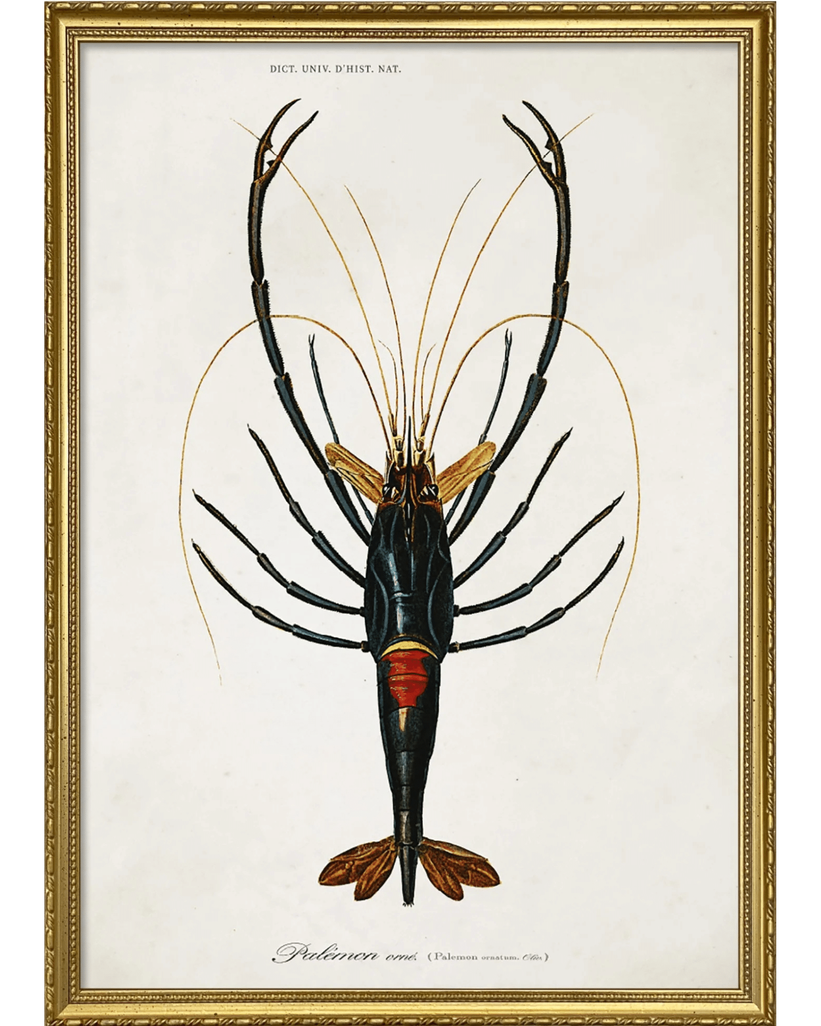 The Dybdahl Company Tavla Crayfish - Bild 4