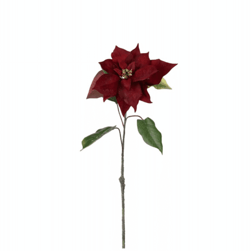 Julstjärna 50 cm Burgundy