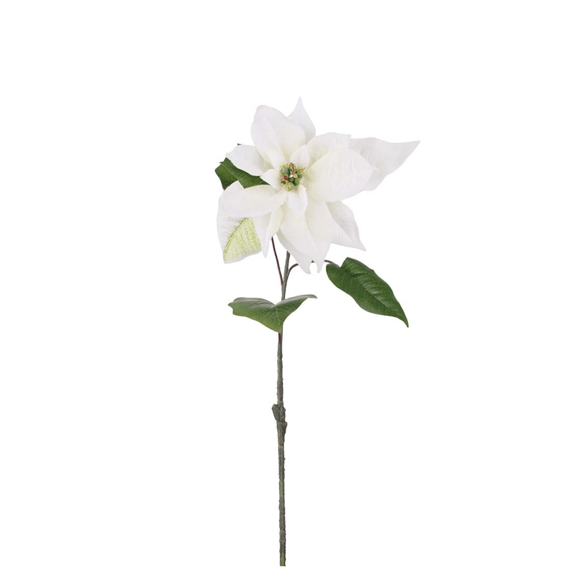 Julstjärna 50 cm Vit
