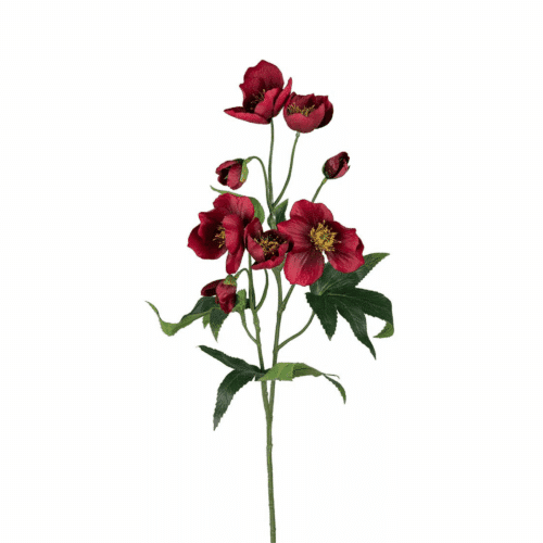 Julros Röd 57 cm