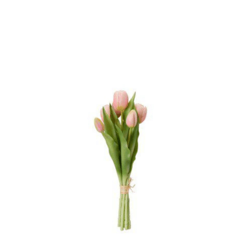 TULPANER Bunt 7-pack Ljusrosa