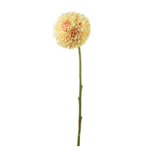 Dahlia Gul 75 cm