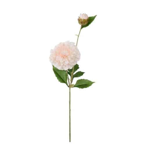 Dahlia Persika 66 cm