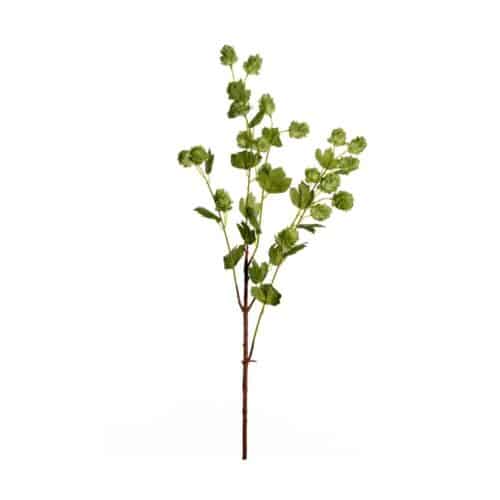 Humle 90cm