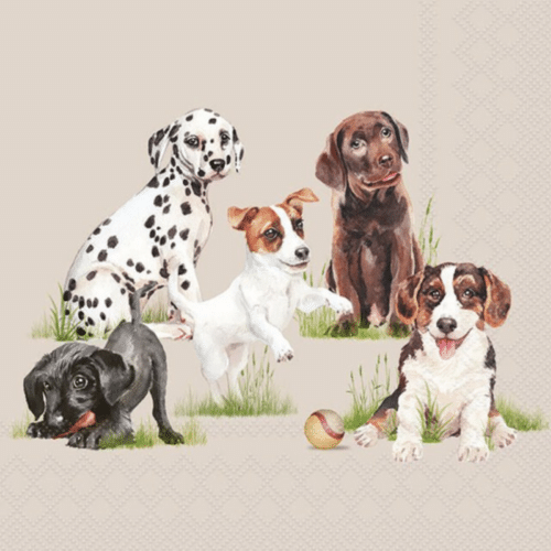 Servetter – Playing Puppies