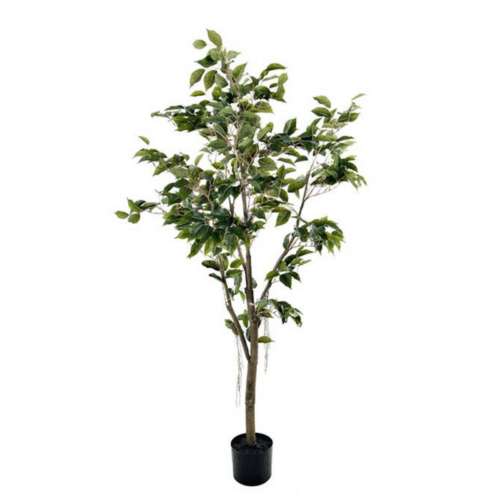 Mr Plant Fikus Benjamin 180 cm – Underhållsfri konstväxt med kruka