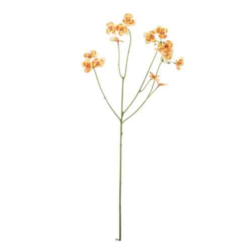 Pensé Orange 63 cm