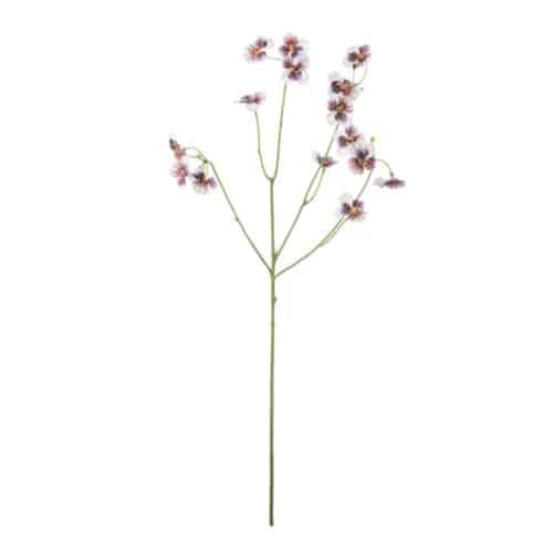 Pensé Lila 63 cm