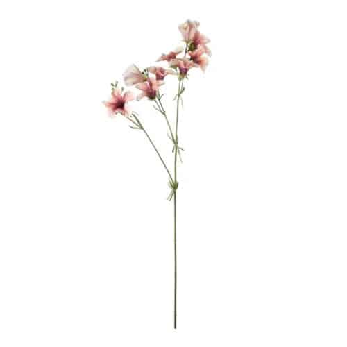 Petunia Rosa 90 cm