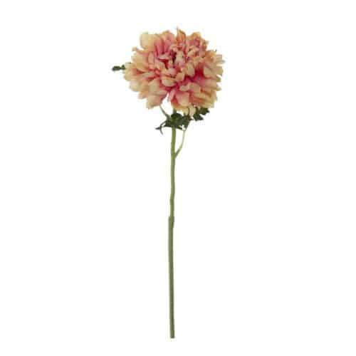 Ranuncel 60 cm multi