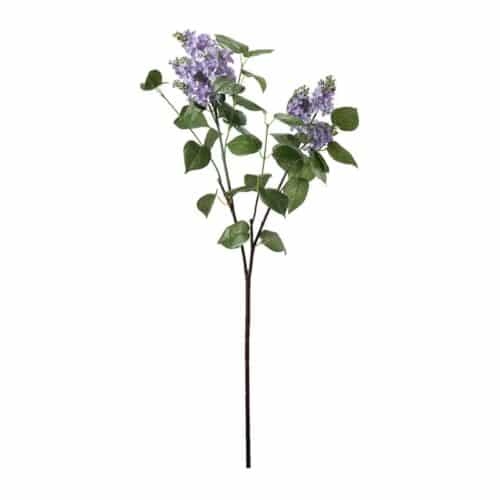 Syrén Blå 100 cm