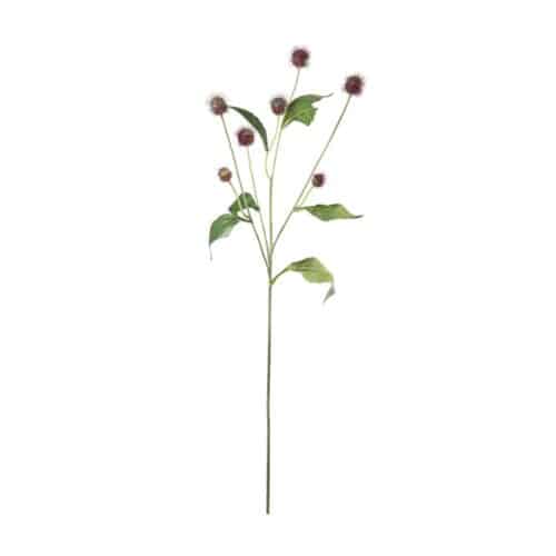 Tistel 58cm