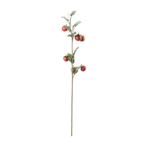 Tomatkvist 75cm