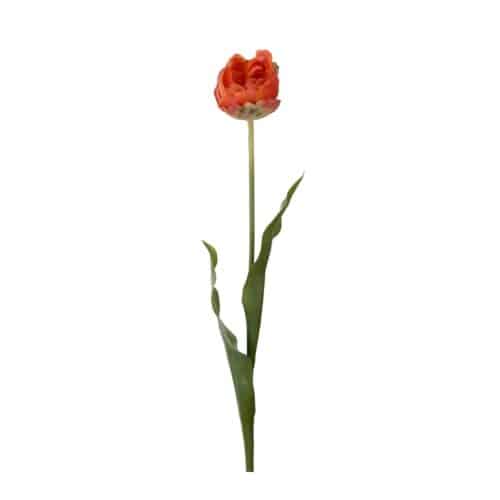 Tulpan Orange 67cm