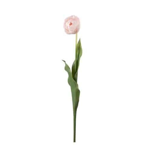 Tulpan Rosa 67cm