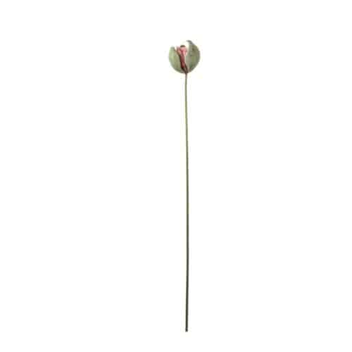 Vallmoknopp Rosa 78cm
