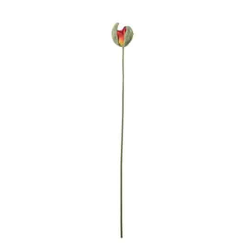 Vallmoknopp röd 78 cm