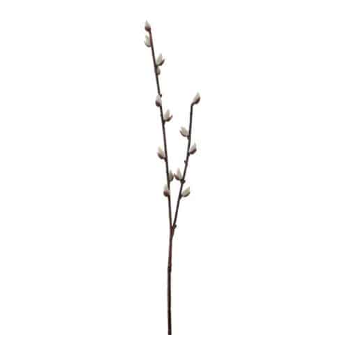 Vide 57 cm