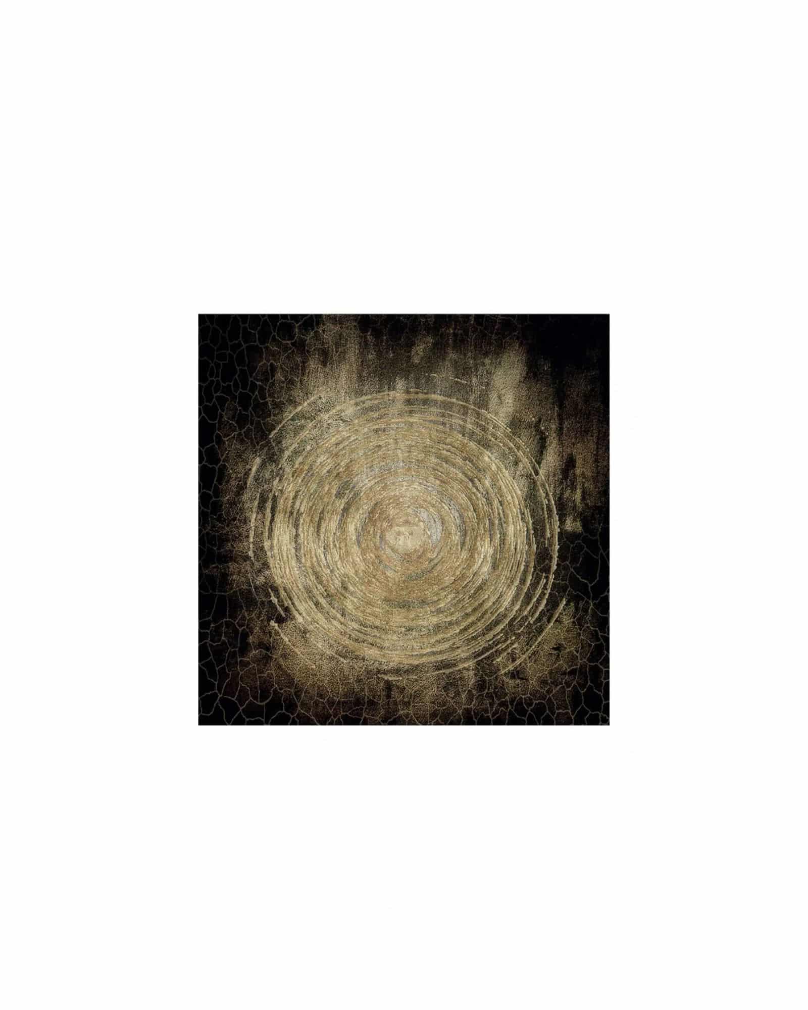 circle of life fototavla 100x100