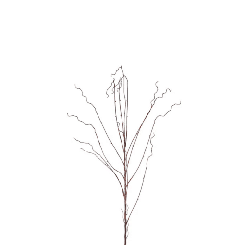 Salix kvist 130 cm Brun – Konstväxt