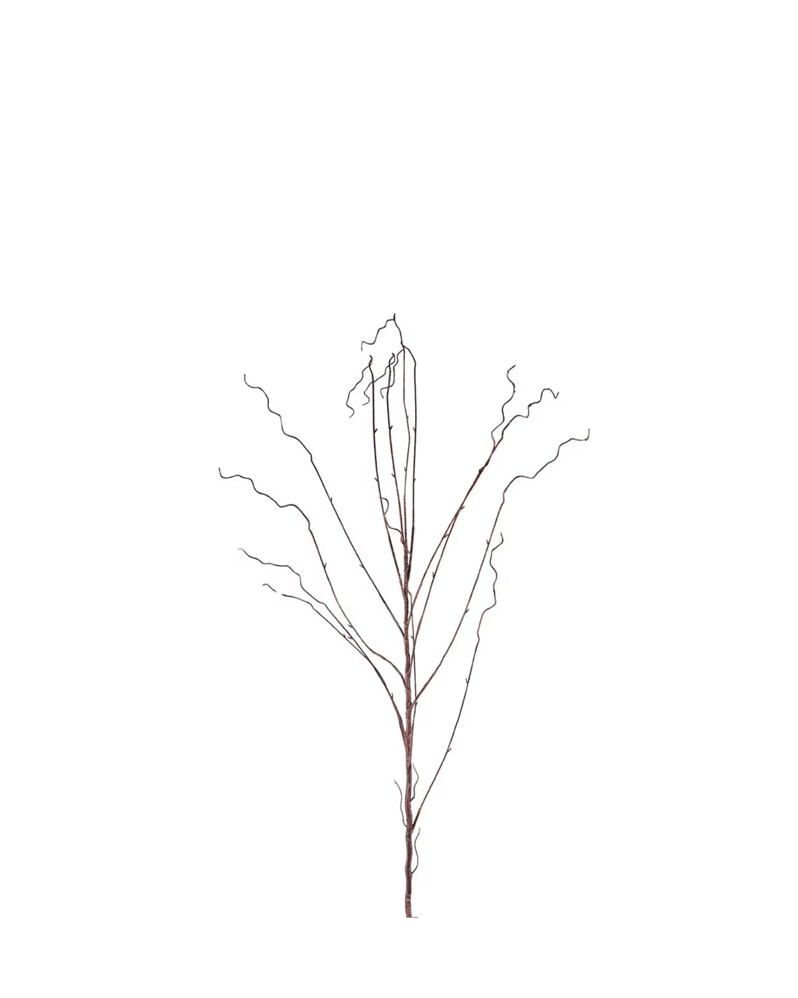 Salix kvist 130 cm Brun – Konstväxt