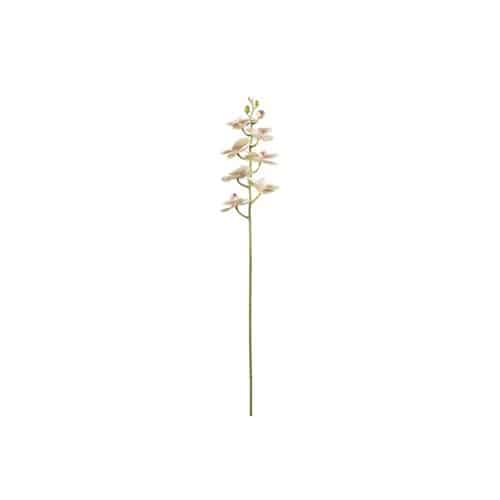 Phalaenopsis konstväxt 75 cm grön